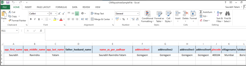 Excel file